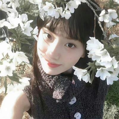 花篮花儿香