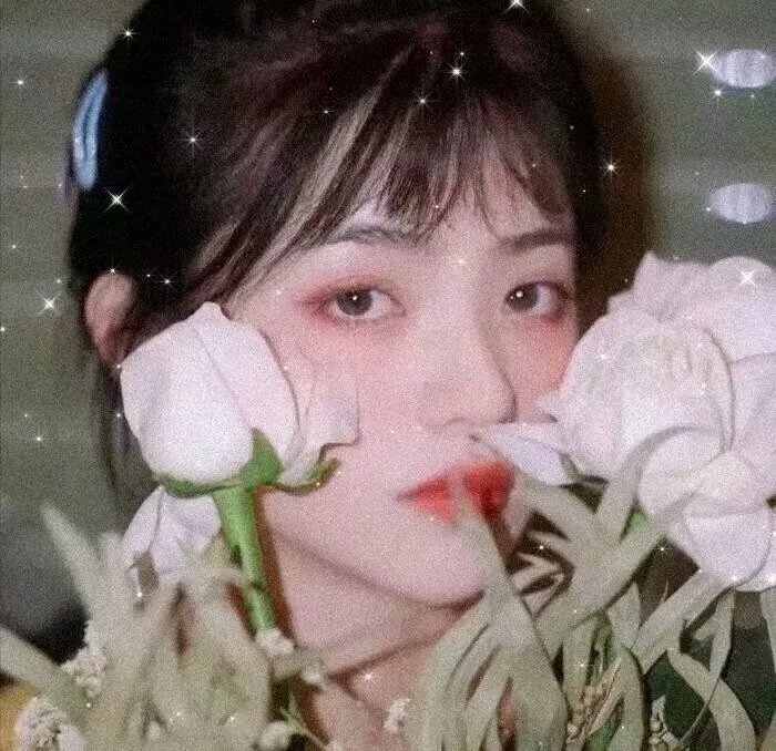 臭小子与美丽世界